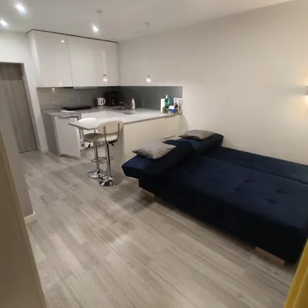 Apartment Comfortable Only 20 Minutes From International Conference Center Katowice Place For Wuf2022 Eec Tnf Off Etc Siemianowice Śląskie