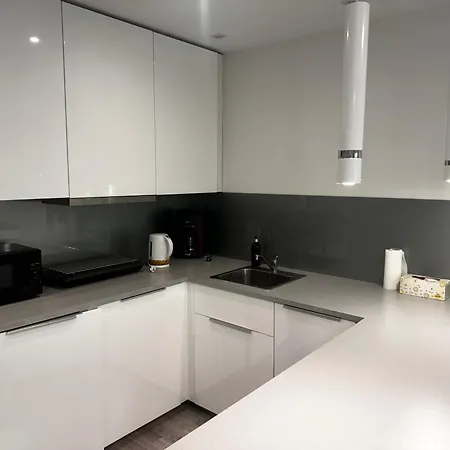 Apartment Comfortable Only 20 Minutes From International Conference Center Katowice Place For Wuf2022 Eec Tnf Off Etc Siemianowice Śląskie