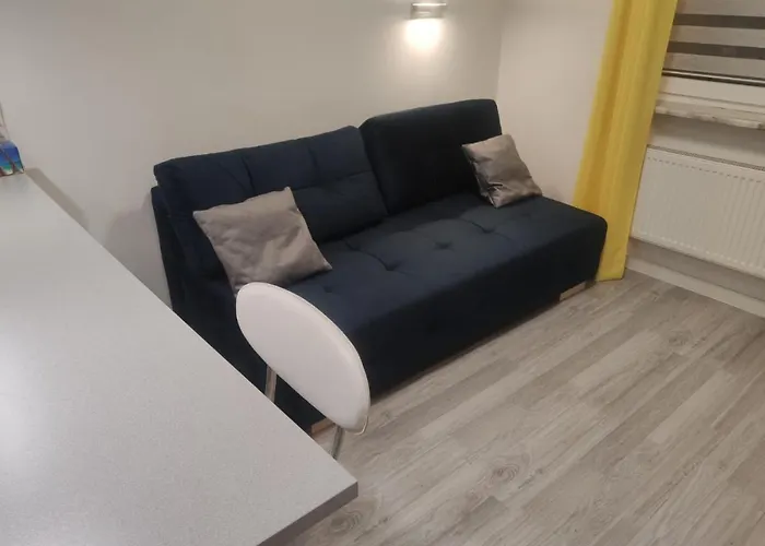 Comfortable Only 20 Minutes From International Conference Center Katowice Place For Wuf2022 Eec Tnf Off Etc Apartment *