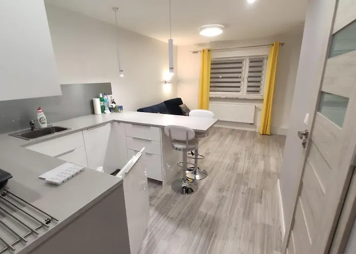 Apartment Comfortable Only 20 Minutes From International Conference Center Katowice Place For Wuf2022 Eec Tnf Off Etc