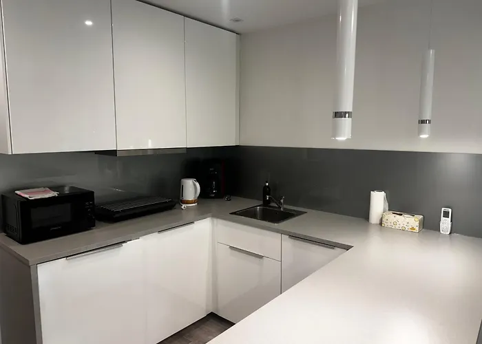 דירה Comfortable Only 20 Minutes From International Conference Center Katowice Place For Wuf2022 Eec Tnf Off Etc Siemianowice Śląskie